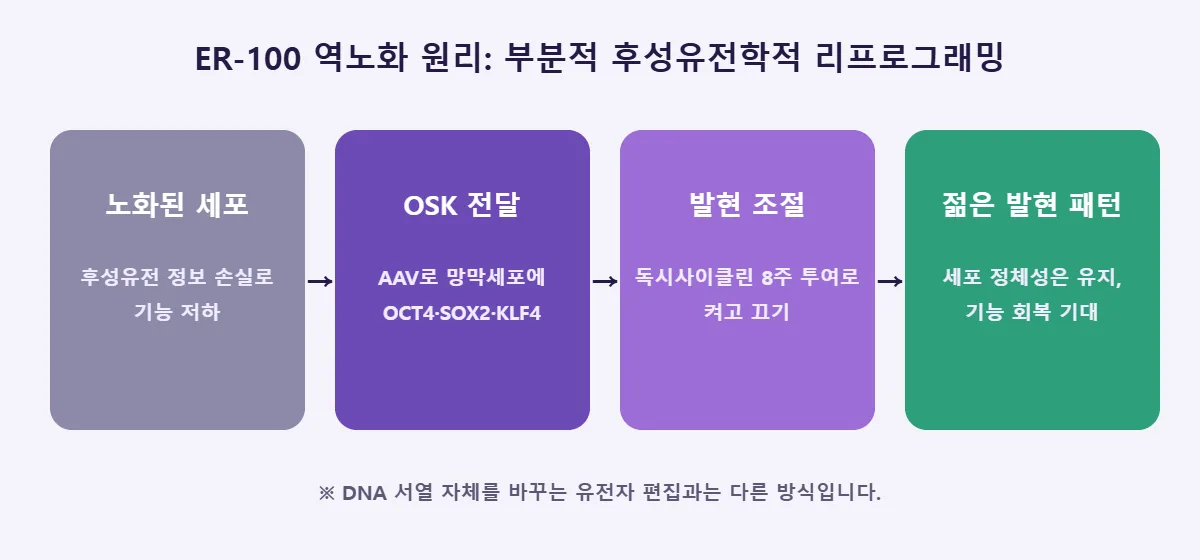 ER-100 역노화 원리 부분적 후성유전학적 리프로그래밍