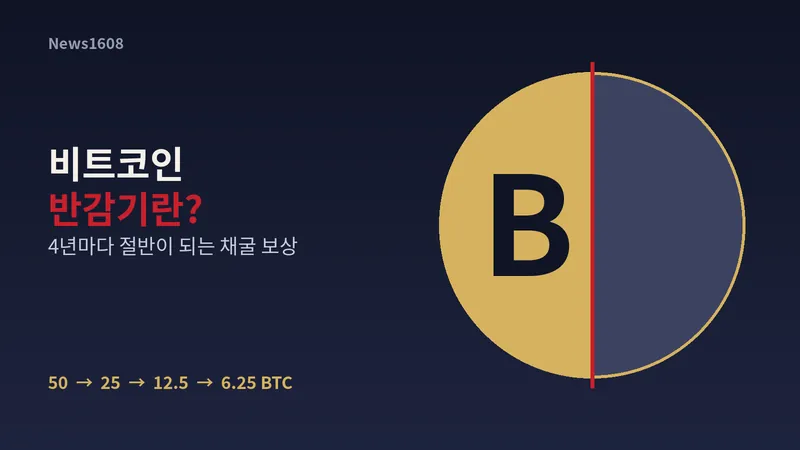비트코인 반감기 채굴 보상 50에서 6.25 BTC로 감소 설명 이미지