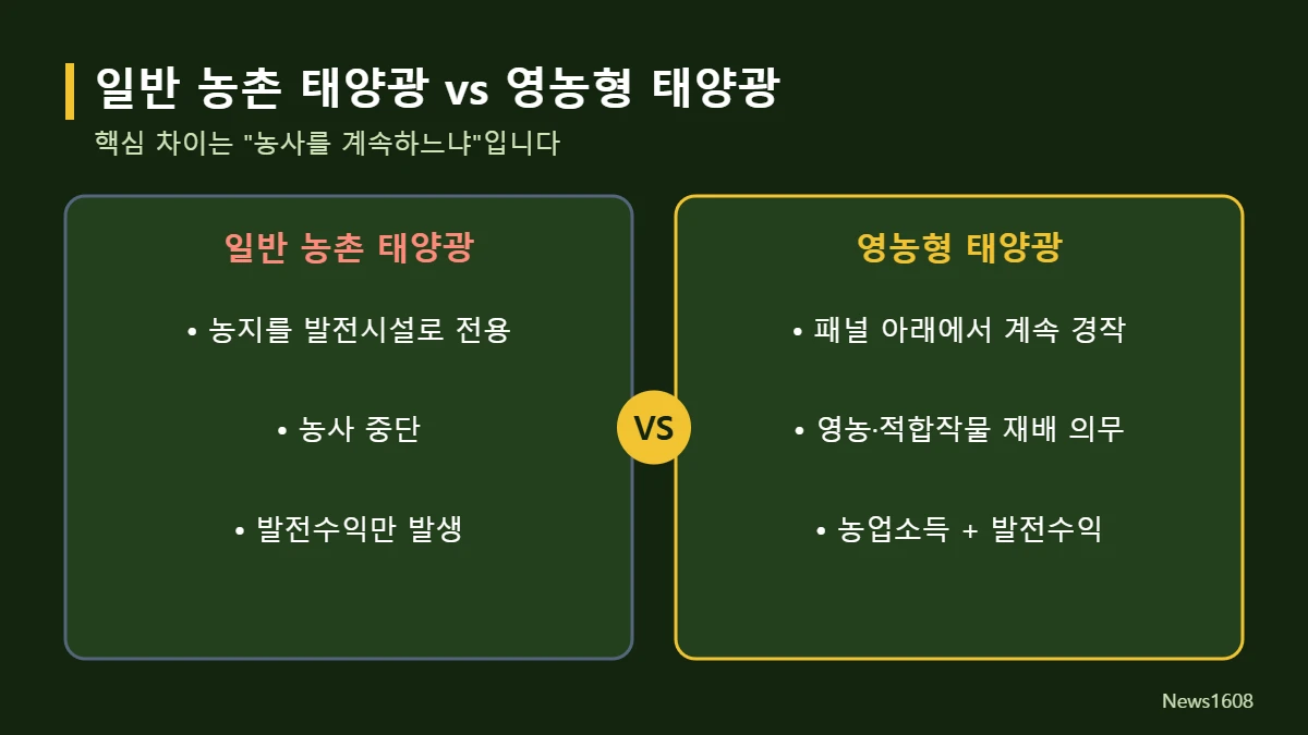 영농형 태양광과 일반 농촌 태양광 차이 비교