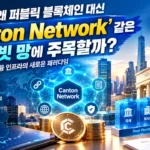 Canton Network 퍼블릭 블록체인 거래 데이터 공개 범위 비교
