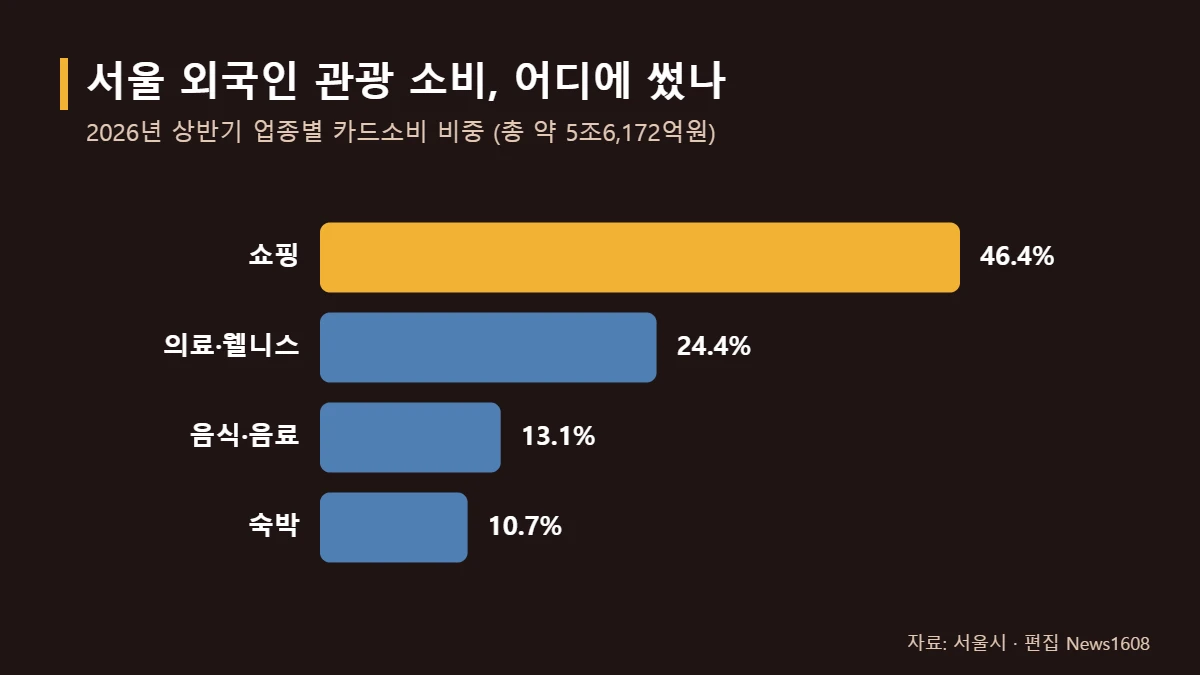 중국인 관광객 지출 쇼핑 의료 웰니스 음식 숙박 업종별 소비 비중