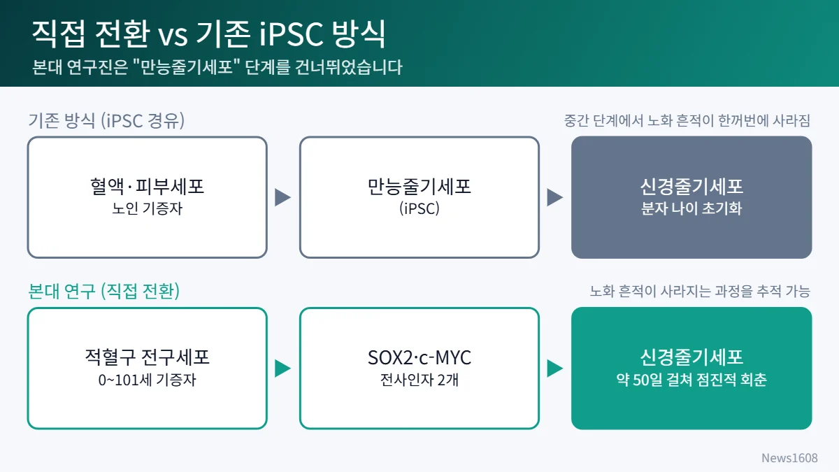 역노화 직접 전환과 iPSC 방식 비교 흐름도