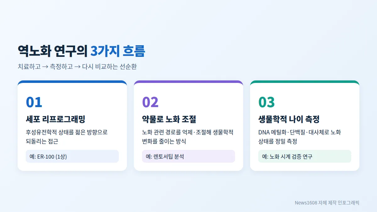 역노화 연구 3가지 흐름 세포 리프로그래밍 약물 노화 조절 생물학적 나이 측정