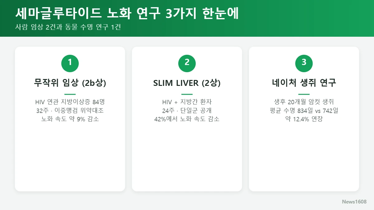 세마글루타이드 노화 연구 3가지 비교